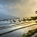 Terraced fields soaked in water  screen for extension Chrome web store in OffiDocs Chromium