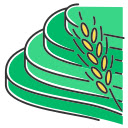 Terraced Rice Fields  screen for extension Chrome web store in OffiDocs Chromium