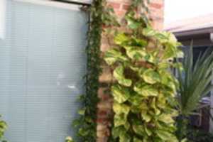 Free download TEST 1 to be removed free photo or picture to be edited with GIMP online image editor