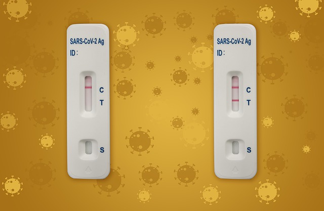 Free download test coronavirus self test pandemic free picture to be edited with GIMP free online image editor