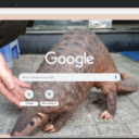 Te Te  screen for extension Chrome web store in OffiDocs Chromium