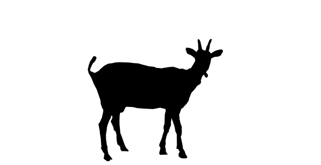 Free download Texture Goat Animal -  free illustration to be edited with GIMP free online image editor