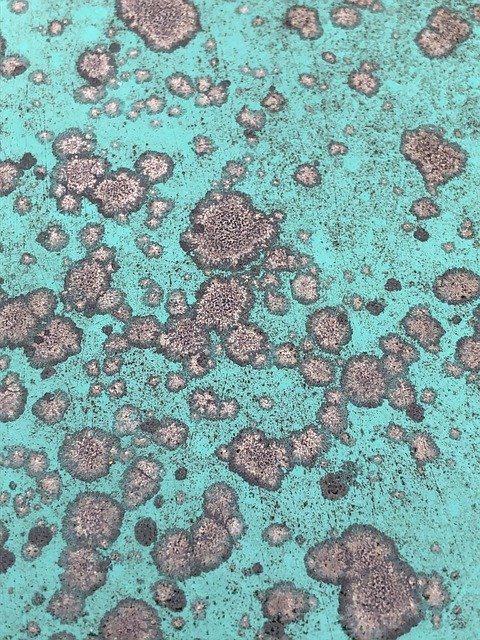 Free download Texture Teal Paint -  free photo or picture to be edited with GIMP online image editor