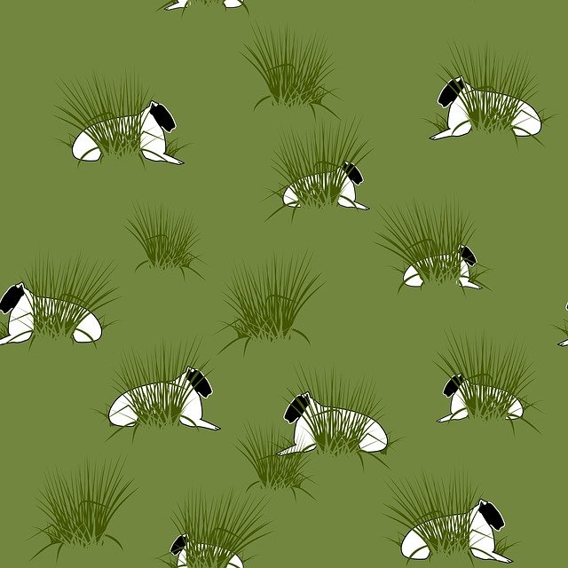 Free download Texture Wrapping Paper Sheep -  free illustration to be edited with GIMP free online image editor