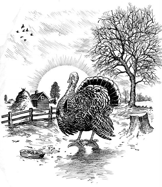 Free download Thanksgiving Turkey Black -  free illustration to be edited with GIMP free online image editor