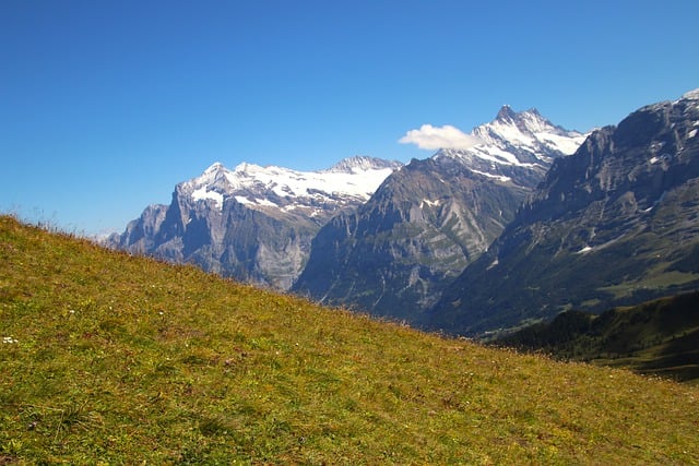Free download the alps top jungfrau switzerland free picture to be edited with GIMP free online image editor