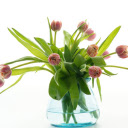The art of flower arrangement  screen for extension Chrome web store in OffiDocs Chromium