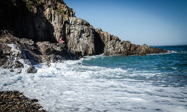 Muat turun percuma The Atlantic Coast Of France Fish - foto atau gambar percuma untuk diedit dengan editor imej dalam talian GIMP