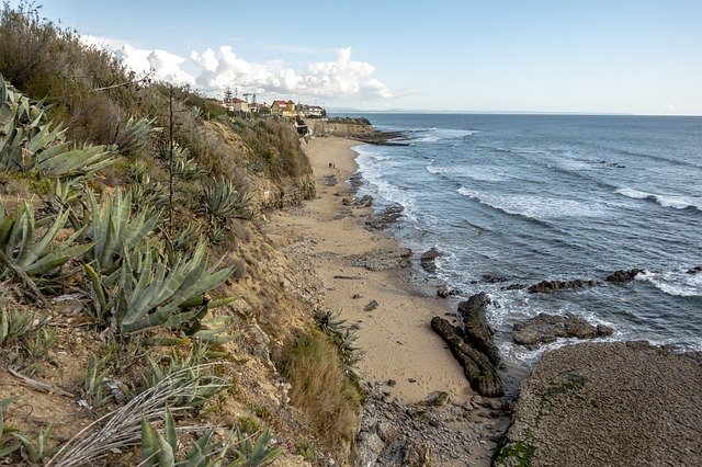 Foto de plantilla La playa de Maidenhair - para OffiDocs