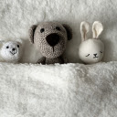 The bears slept well  screen for extension Chrome web store in OffiDocs Chromium