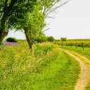 The beautiful small road  screen for extension Chrome web store in OffiDocs Chromium