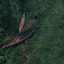 The boat is like a locust  screen for extension Chrome web store in OffiDocs Chromium