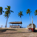 The Boat Next to the Tent  screen for extension Chrome web store in OffiDocs Chromium