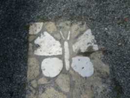 Free download The Butterfly Symbol for the Butterfly Garden free photo or picture to be edited with GIMP online image editor
