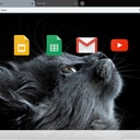 The Cat  screen for extension Chrome web store in OffiDocs Chromium