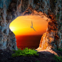 The cave and the sunlight  screen for extension Chrome web store in OffiDocs Chromium