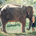The child hugs the elephant  screen for extension Chrome web store in OffiDocs Chromium
