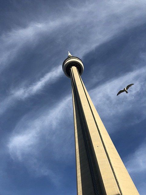 Free picture The Cn Tower -  to be edited by GIMP free image editor by OffiDocs