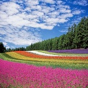 ThE coOl mOthEr nAturE Mix v3  screen for extension Chrome web store in OffiDocs Chromium