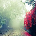 ThE coOl mOthEr nAturE Mix v6  screen for extension Chrome web store in OffiDocs Chromium