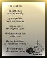 Free download The Dog Food free photo or picture to be edited with GIMP online image editor