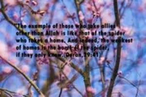 Free download The Example Of Those Who Take Allies free photo or picture to be edited with GIMP online image editor