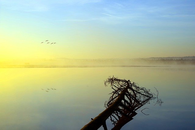 Free download The Fog Reflection Landscape In -  free photo or picture to be edited with GIMP online image editor