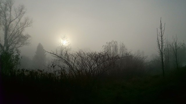 Unduh gratis The Fog Sun Landscape - foto atau gambar gratis untuk diedit dengan editor gambar online GIMP