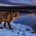 The Fox: A Clever and Mysterious Hunter  screen for extension Chrome web store in OffiDocs Chromium
