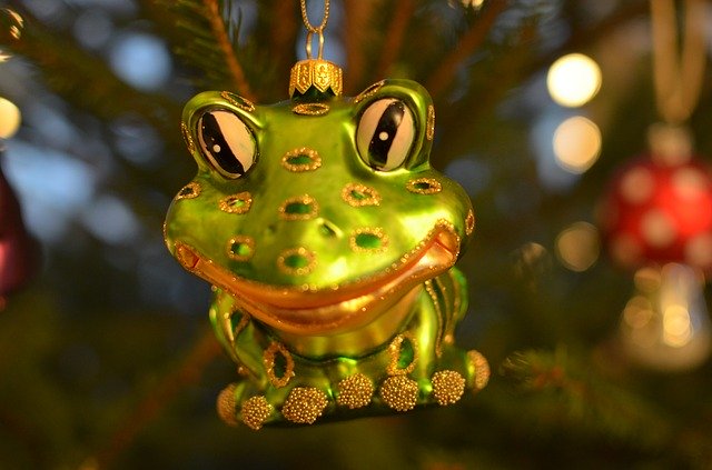 Descarga gratuita The Frog Bauble: foto o imagen gratuita para editar con el editor de imágenes en línea GIMP