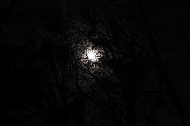 Kostenloser Download The Fullness Of Night North - kostenloses Foto oder Bild zur Bearbeitung mit GIMP Online-Bildbearbeitung