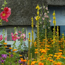 The garden has flowers  screen for extension Chrome web store in OffiDocs Chromium