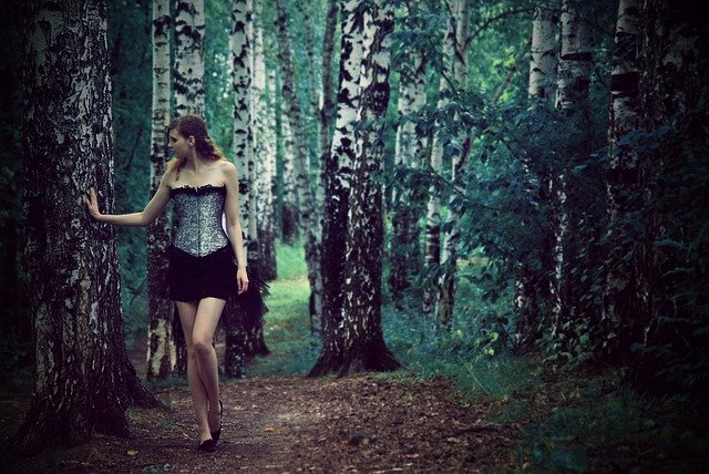 Free download The Girl And Birch Corset A -  free free photo or picture to be edited with GIMP online image editor