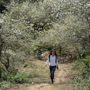 The girl and the flower forest  screen for extension Chrome web store in OffiDocs Chromium