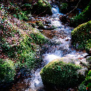 The Green Moss Stream  screen for extension Chrome web store in OffiDocs Chromium