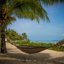 The hammock  screen for extension Chrome web store in OffiDocs Chromium