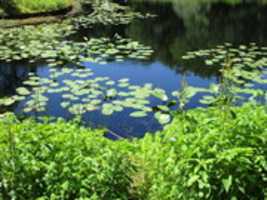 Free download The Highland Park Pond free photo or picture to be edited with GIMP online image editor