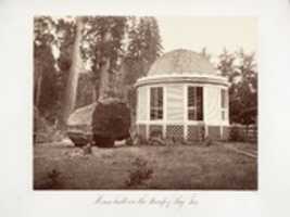 Free download The House Built over the Stump of a Big Tree free photo or picture to be edited with GIMP online image editor