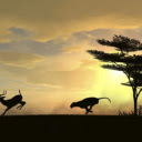 The Hunting Leopard: A Silent Stalker of the Wild  screen for extension Chrome web store in OffiDocs Chromium