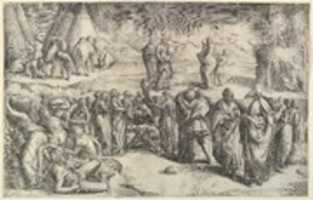 Free download The Israelites Gathering Manna free photo or picture to be edited with GIMP online image editor