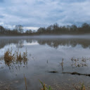 The lake surface is a bit foggy  screen for extension Chrome web store in OffiDocs Chromium