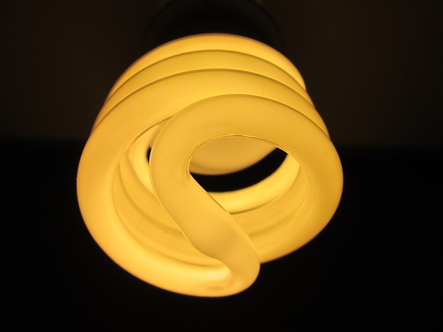 Free download the light bulb fluorescent lamp free picture to be edited with GIMP free online image editor