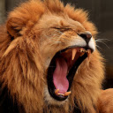 The lions fang  screen for extension Chrome web store in OffiDocs Chromium
