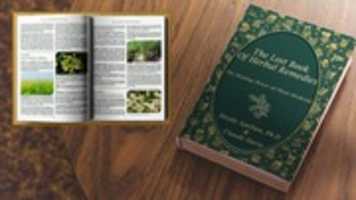 image editor gimp image editor gimp