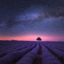 THE MAGICAL GARDEN Theme  screen for extension Chrome web store in OffiDocs Chromium