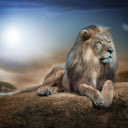 The Majestic King of the Savannah  screen for extension Chrome web store in OffiDocs Chromium