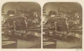 Free download The Megatherium, British Museum free photo or picture to be edited with GIMP online image editor
