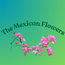 The Mexican Flowers  screen for extension Chrome web store in OffiDocs Chromium