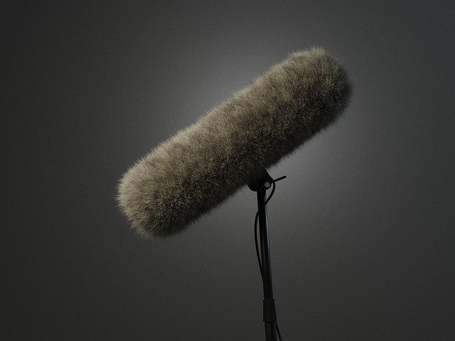 Download gratuito The Mic Microphone Sound - foto o immagine gratuita da modificare con l'editor di immagini online GIMP