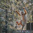 The Monkey and the Mouth  screen for extension Chrome web store in OffiDocs Chromium